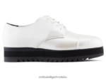 bijela 8XPTRV549 Onitsuka Tiger cipele derbi žene